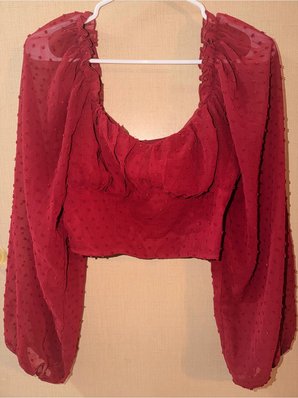 SHEIN Red Sheer Swiss Dot Long-Sleeve Crop Top